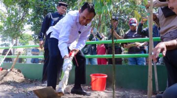 Pemkot Cimahi Tanam 74 Pohon sebagai Kompensasi Dampak Pembangunan Underpass Gatot Subroto